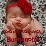 IMMAGINI BUONANOTTE