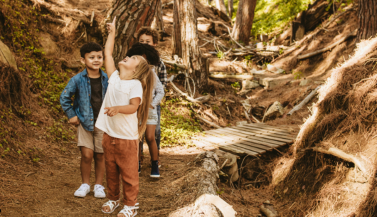 attività all'aria aperta con i bambini